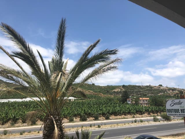 Standart Çift Kişilik Oda