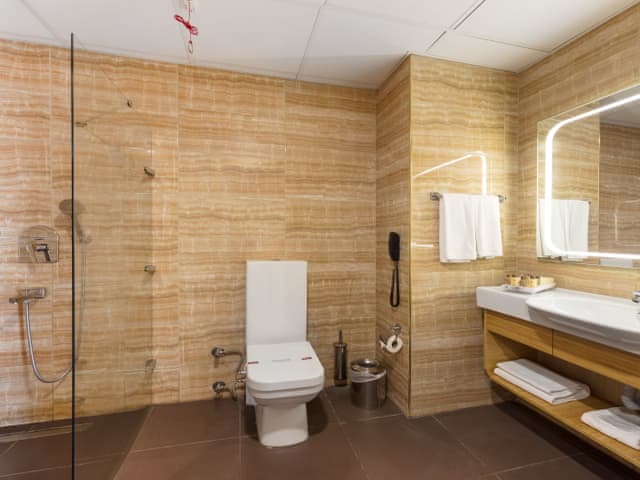 Superior Çift/İki Yataklı Oda