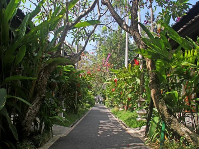 Deluxe Garden Bungalow