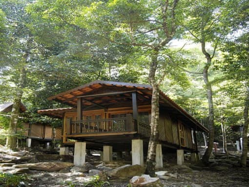 Rainforest Chalet