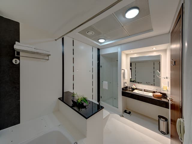 Superior Twin Room (City view)