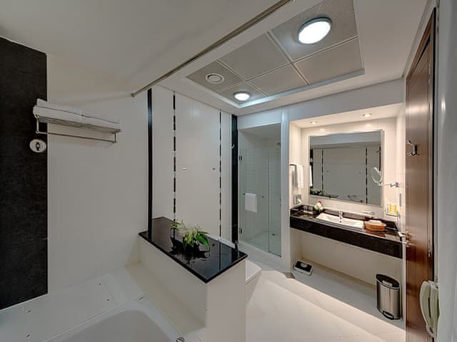 Executive 2 yatak odalı Süit (Şehir manzaralı)