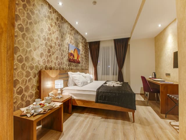 Superior Double Room (City view)