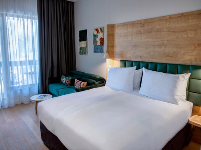 Deluxe King Room, Mountain View