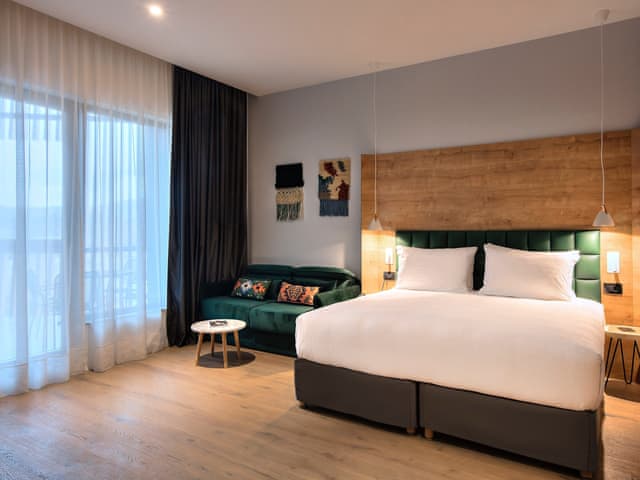 Deluxe King Room, Mountain View