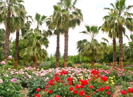 Granada halal holidays 12