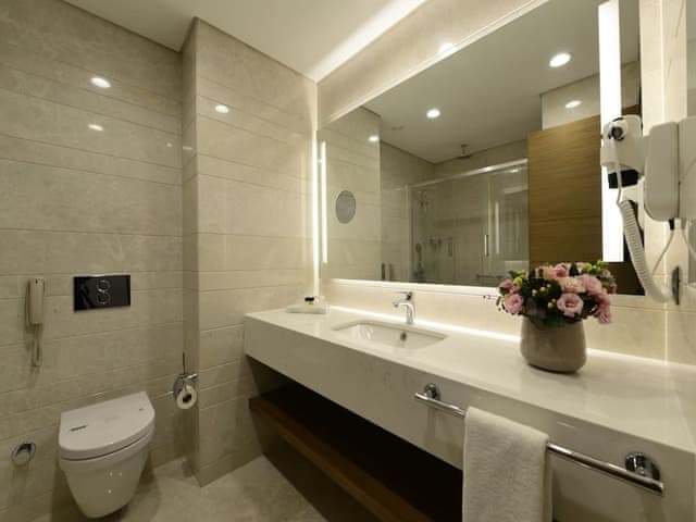 Premium Room, 1 Queen Bed with Sofa bed, City View