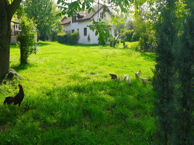 Four Bedroom Country Villa