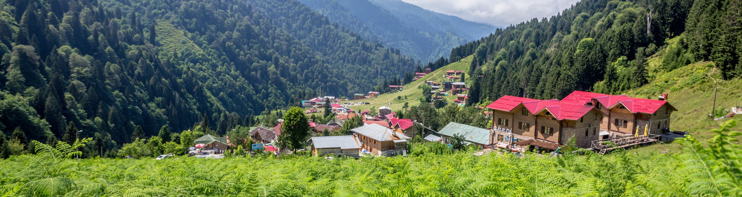 Ayder Yaylası - Çamlıhemşin Helal Özellikli Tatil