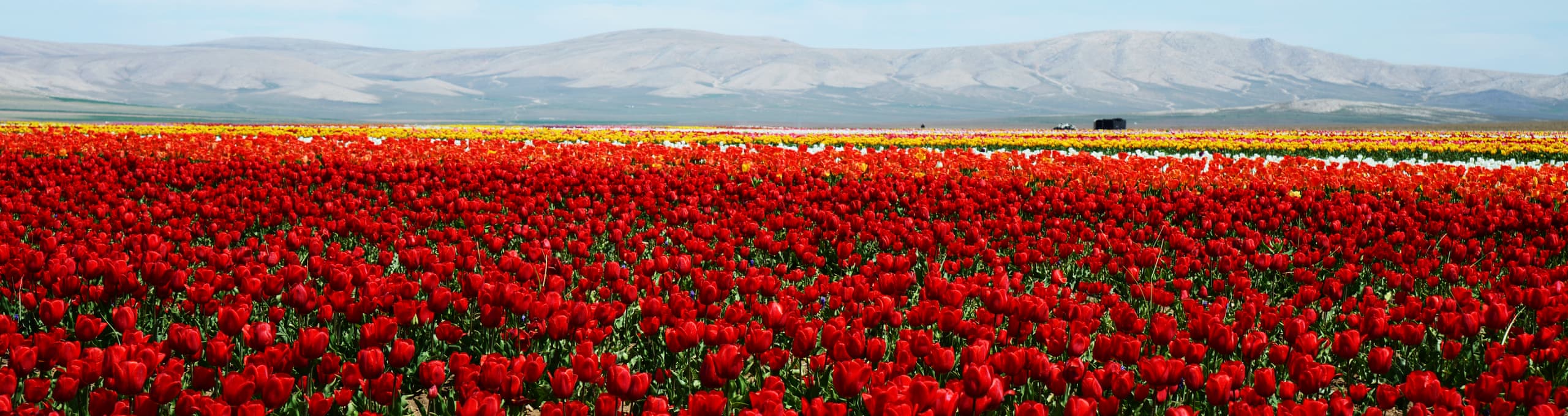Konya Helal Özellikli Tatil