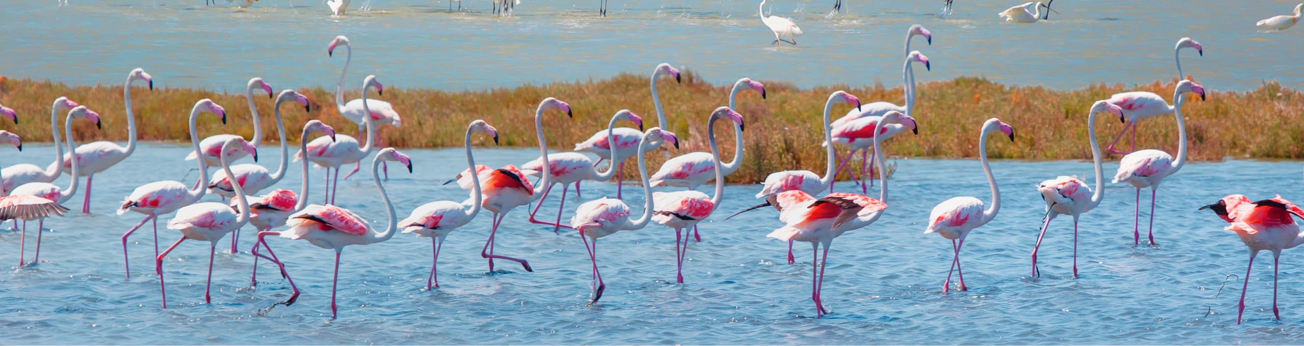 Balıkesir Muhafazakar Oteller