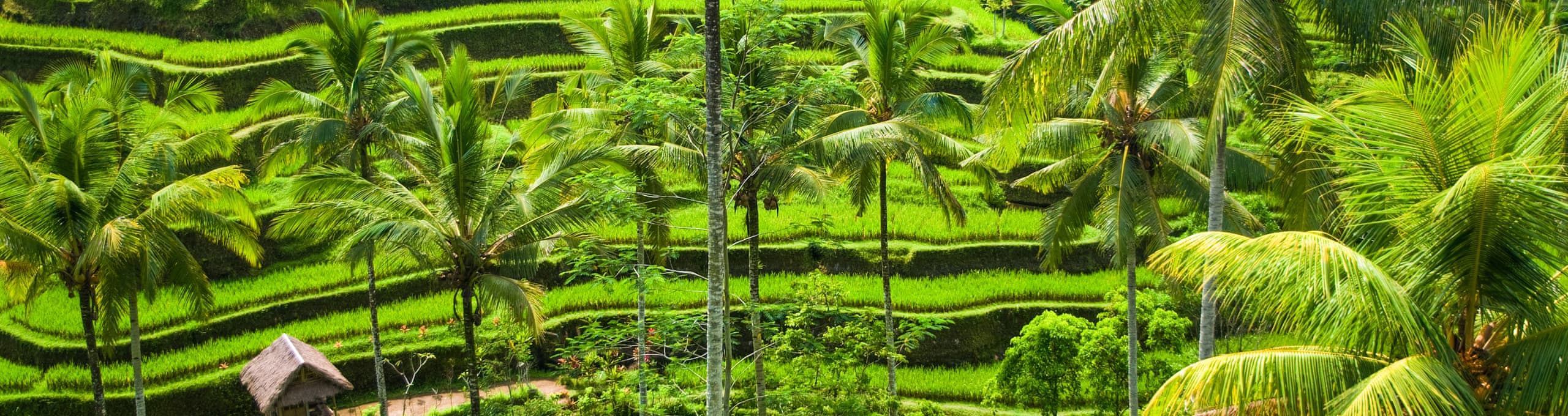 Ubud Halal-friendly holidays