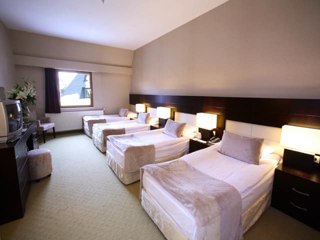Deluxe Quatro Room