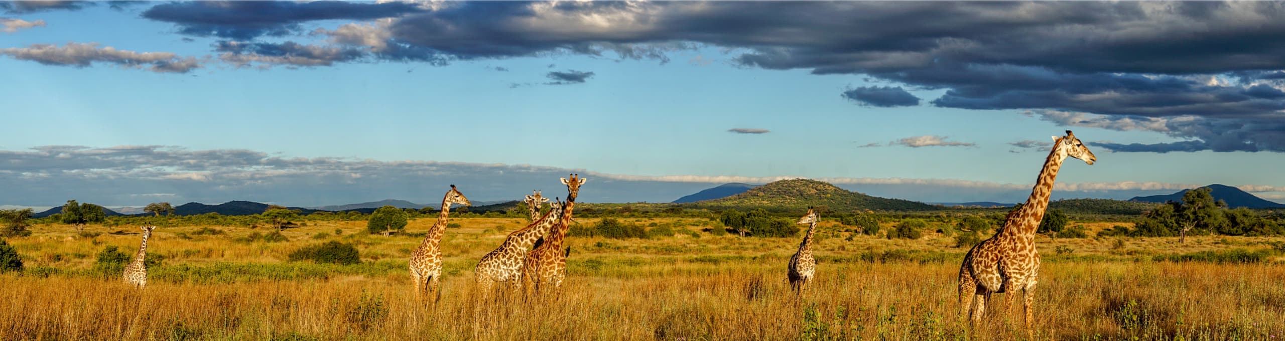 Tanzania Halal-friendly holidays