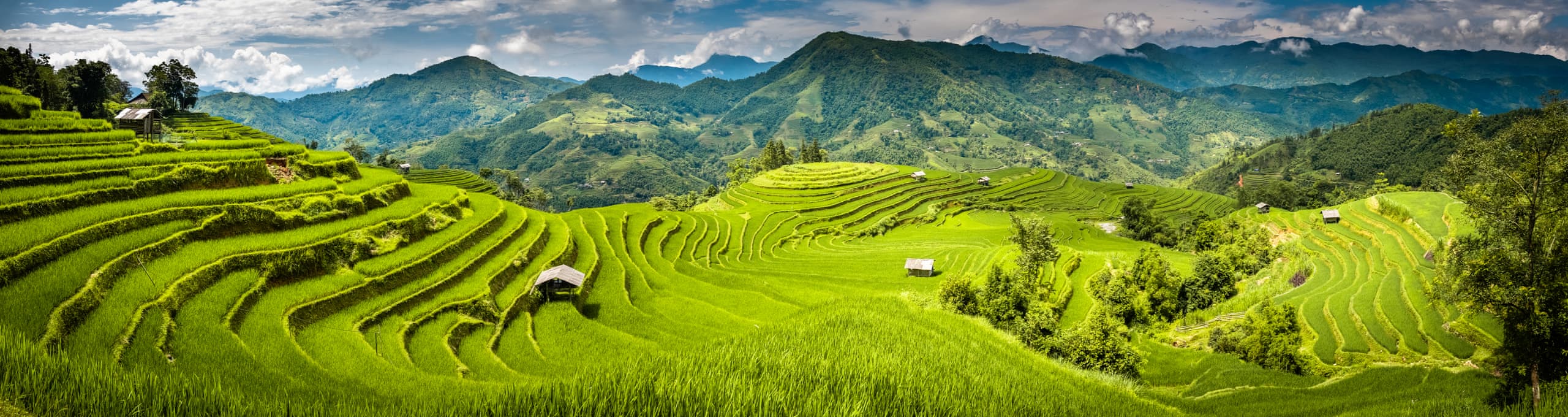 Vietnam Halal-friendly holidays