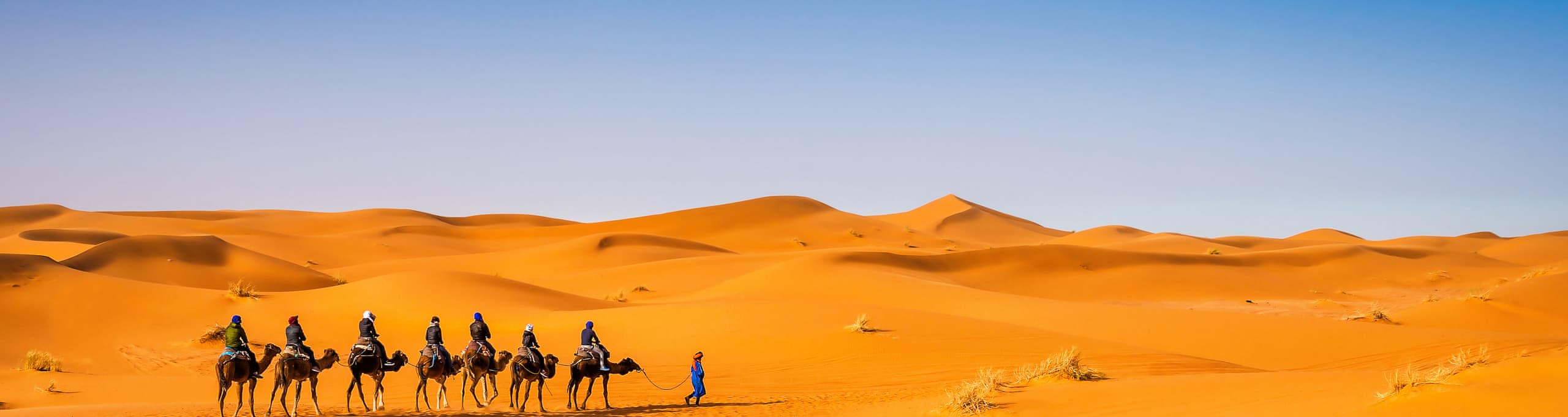 Douz Halal-friendly holidays