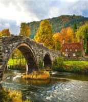 North Wales Halal-friendly holidays