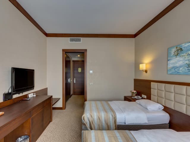 Standart Oda (Göl manzaralı)