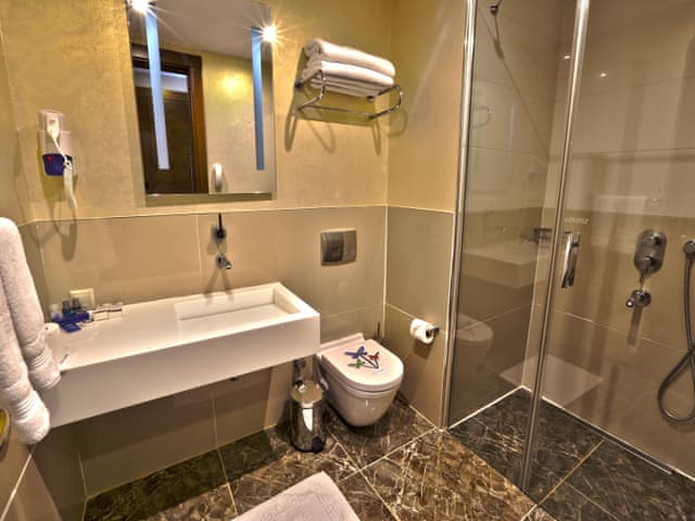 Standart Oda (Orman manzaralı)