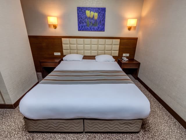 Standart Oda (Orman manzaralı)