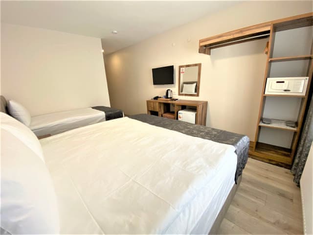 Standart Oda (Dağ manzaralı)