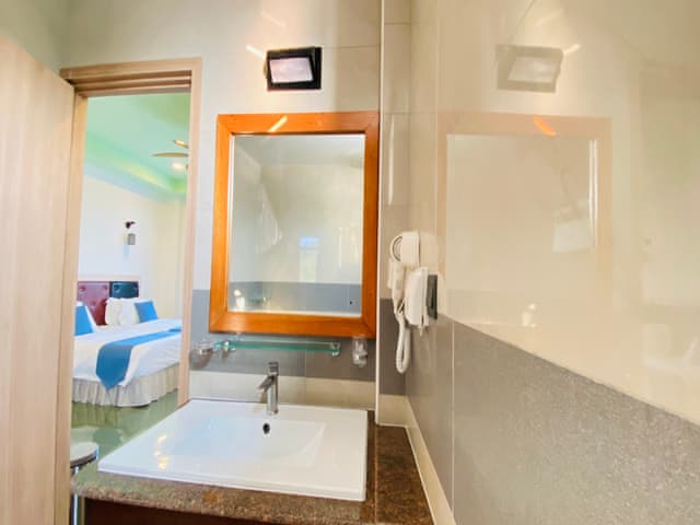 Delüks Çift/İki Yataklı Oda (Şehir manzaralı)