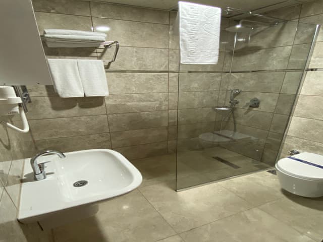 Standart Oda (Dağ manzaralı)