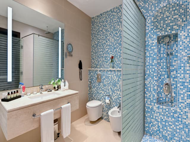 Premier Room With One King Bed (Sea View)