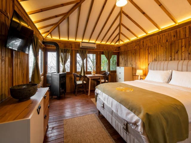 Standart Oda (Orman manzaralı)