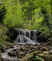 Sapanca Helal Özellikli Tatil