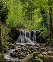 Sapanca Helal Özellikli Tatil