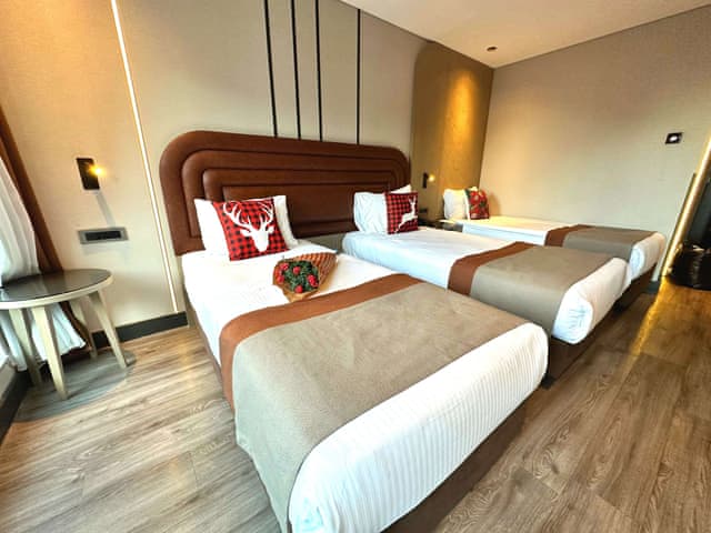 Delüks Üç Kişilik Oda