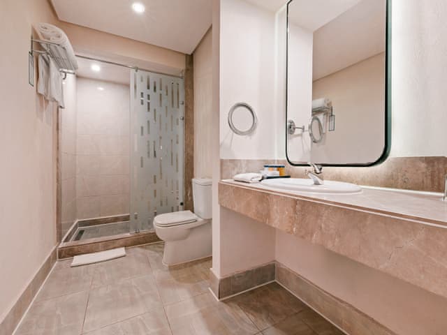 Executive Swim Up Room