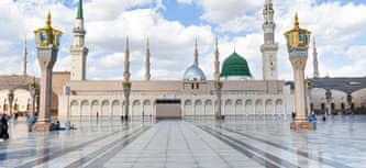 المدينة فنادق