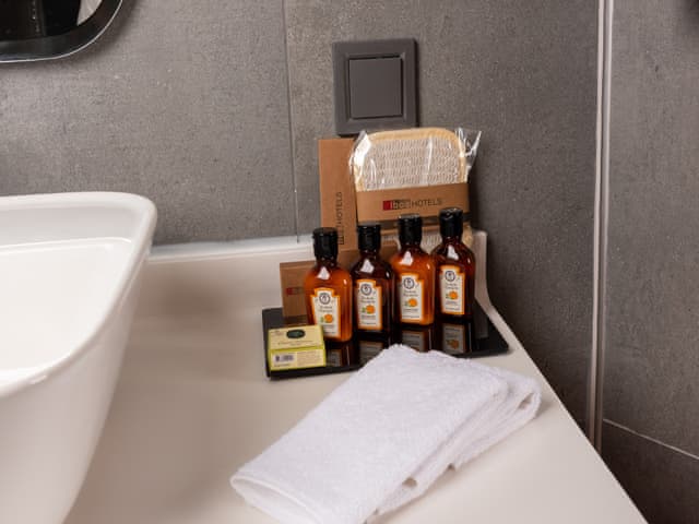 Deluxe Çift Kişilik veya İki Tek Kişilik Yataklı Oda