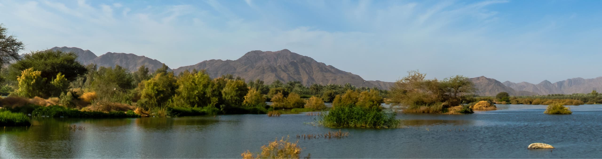 Vacances bien-être et spa en Arabie Saoudite