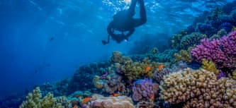 Saudi Arabia Halal-friendly holidays