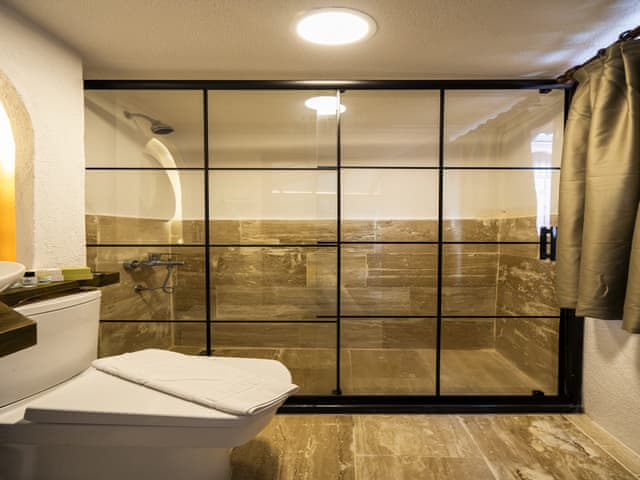 Vip Dlx Sky With Bathtub 7