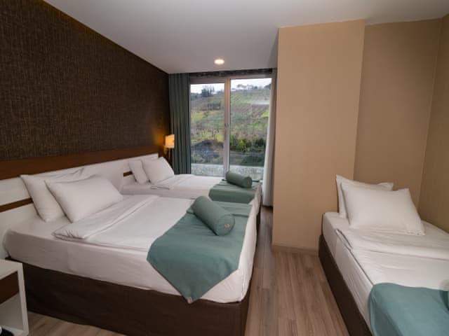 Superior Üç Kişilik Oda (Kara Manzaralı)