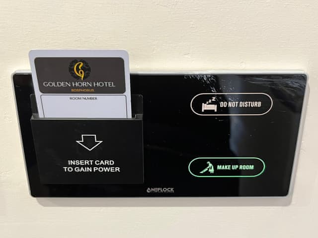 Family Room Bosphorus View