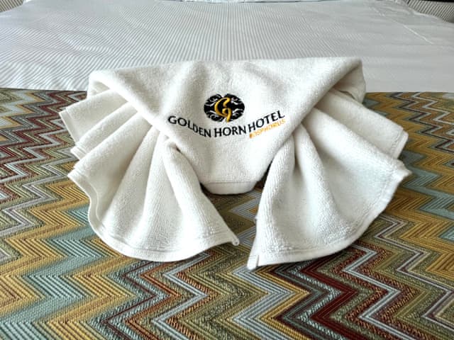 Family Room Bosphorus View