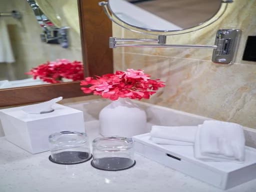 Delüks İki Yataklı Oda