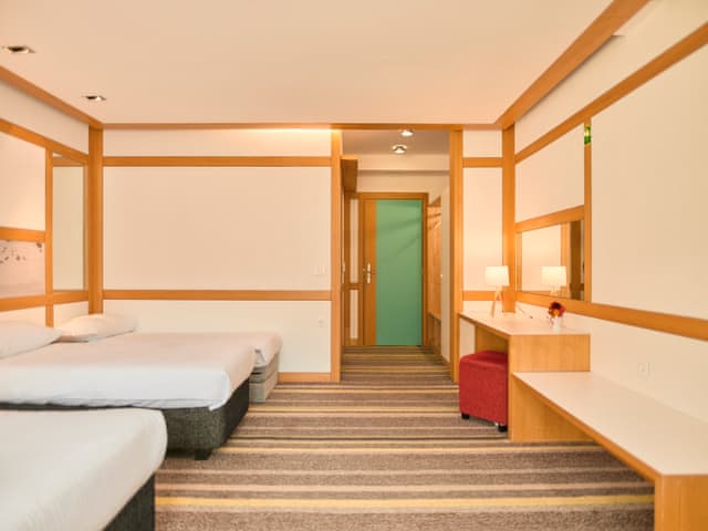 Triple Room Mountain View and Balcony with A/C