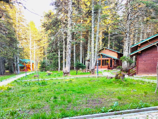 Senior Bungalow