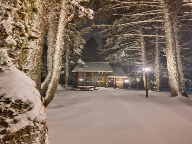 Senior Bungalow