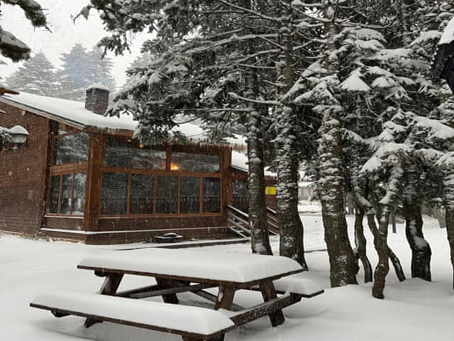 Senior Bungalow
