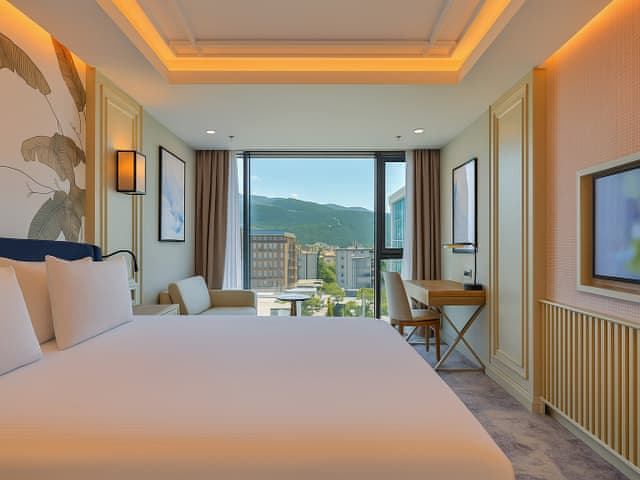 Superior Room with 1 double bed.