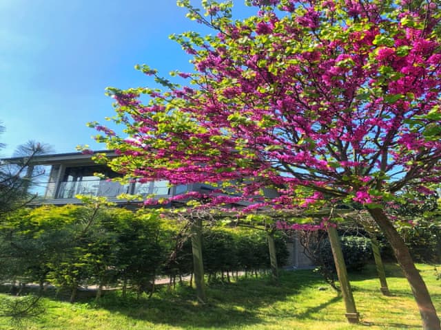 Junior Luxury Heated-Pool Villa