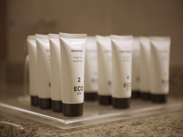 Executive Twin Courtyard View .