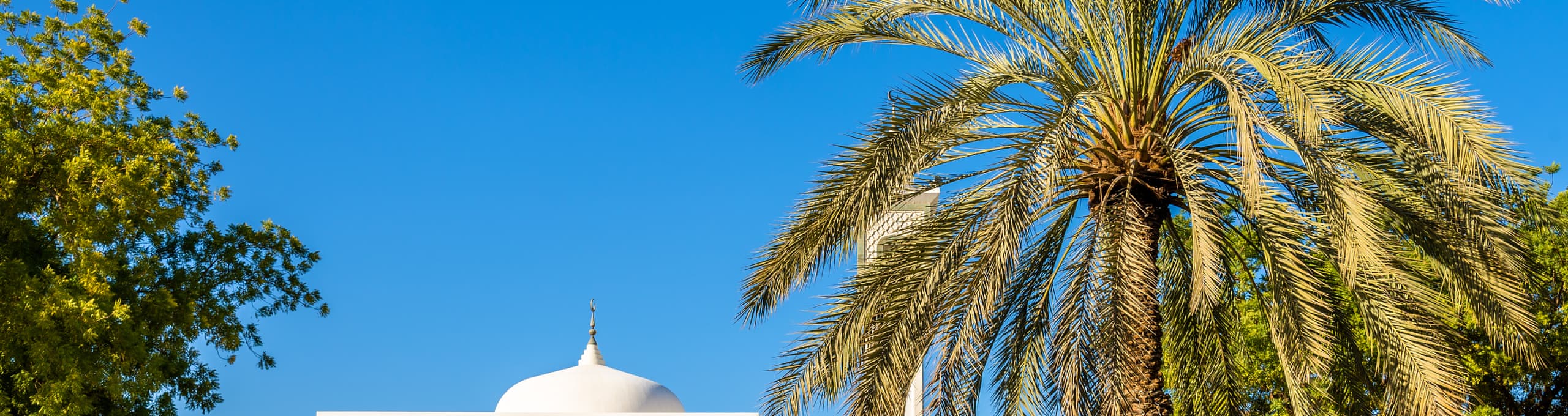 Al Ain Helal Özellikli Tatil